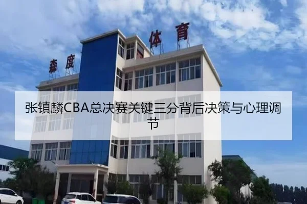 张镇麟CBA总决赛关键三分背后决策与心理调节